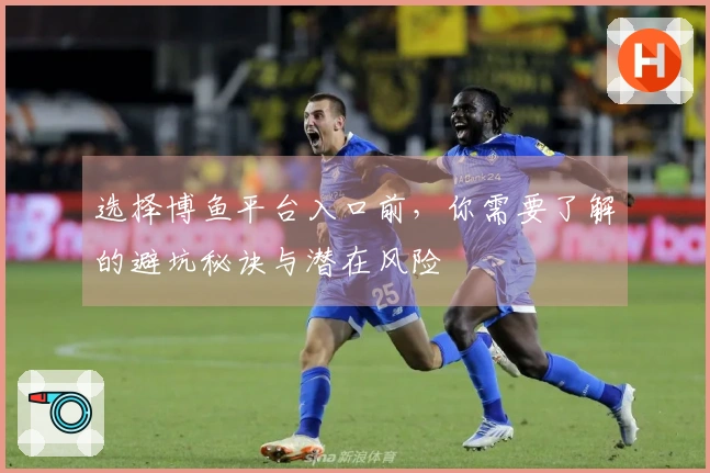 选择博鱼平台入口前，你需要了解的避坑秘诀与潜在风险